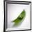 Peas In a Pod-Cristina-Framed Photographic Print