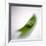 Peas In a Pod-Cristina-Framed Photographic Print