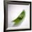 Peas In a Pod-Cristina-Framed Photographic Print