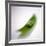 Peas In a Pod-Cristina-Framed Photographic Print