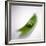 Peas In a Pod-Cristina-Framed Photographic Print