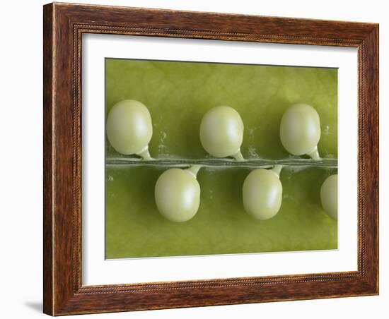 Peas in a Pod-Rogge & Jankovic-Framed Photographic Print