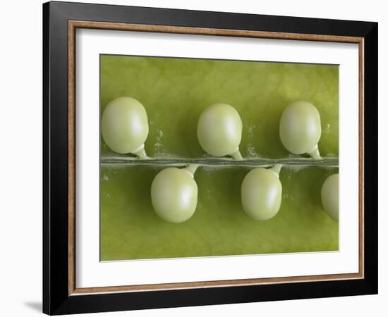 Peas in a Pod-Rogge & Jankovic-Framed Photographic Print