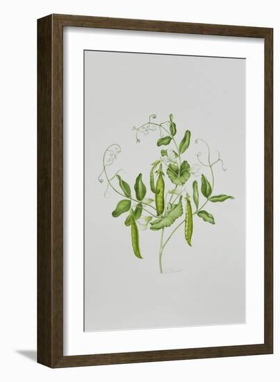 Peas-Sally Crosthwaite-Framed Giclee Print