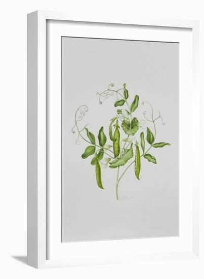 Peas-Sally Crosthwaite-Framed Giclee Print