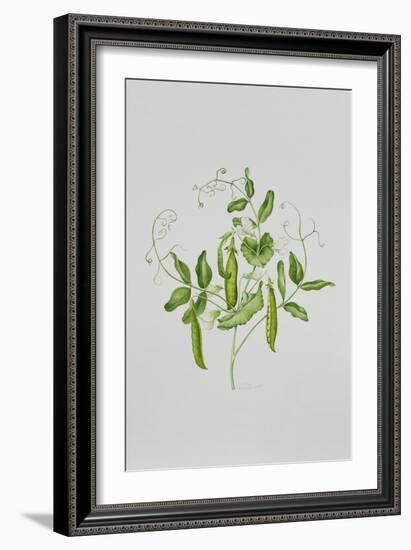 Peas-Sally Crosthwaite-Framed Giclee Print