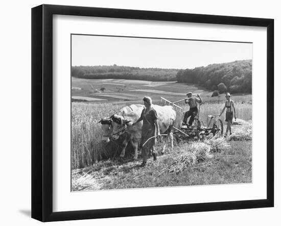 Peasant Farmers Working in Wheat Fields-null-Framed Photographic Print