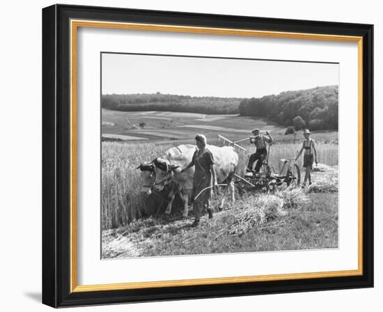 Peasant Farmers Working in Wheat Fields-null-Framed Photographic Print