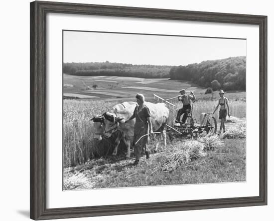 Peasant Farmers Working in Wheat Fields-null-Framed Photographic Print