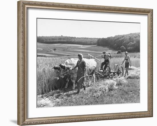 Peasant Farmers Working in Wheat Fields-null-Framed Photographic Print