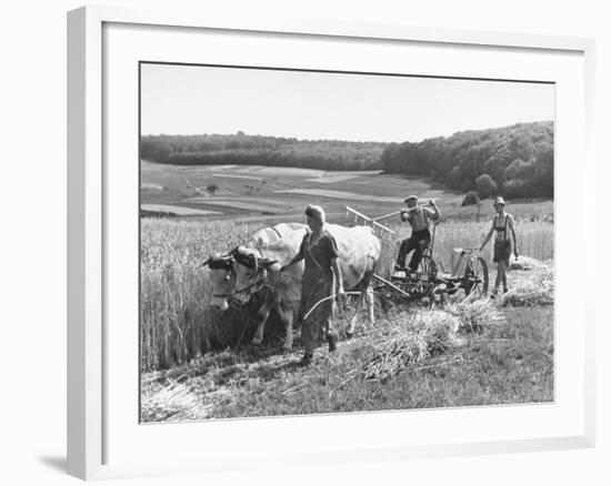 Peasant Farmers Working in Wheat Fields-null-Framed Photographic Print