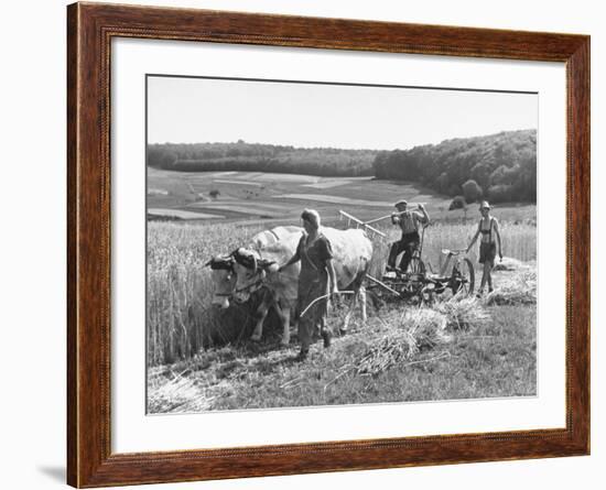 Peasant Farmers Working in Wheat Fields-null-Framed Photographic Print