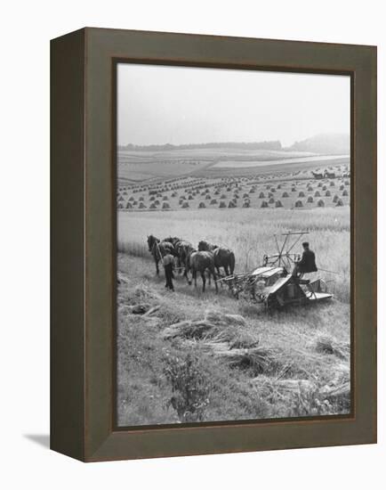 Peasant Farmers Working in Wheat Fields-null-Framed Premier Image Canvas