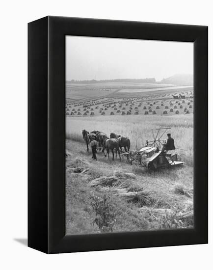 Peasant Farmers Working in Wheat Fields-null-Framed Premier Image Canvas