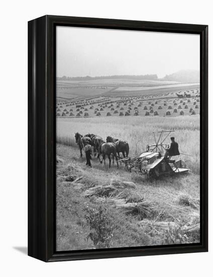 Peasant Farmers Working in Wheat Fields-null-Framed Premier Image Canvas