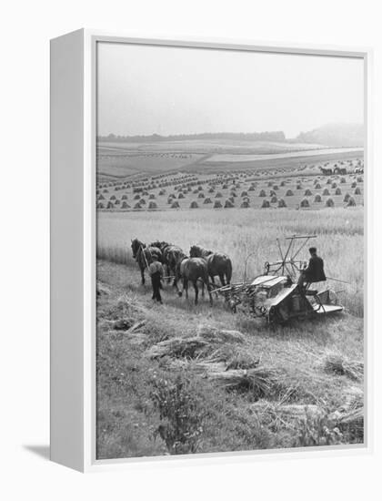 Peasant Farmers Working in Wheat Fields-null-Framed Premier Image Canvas