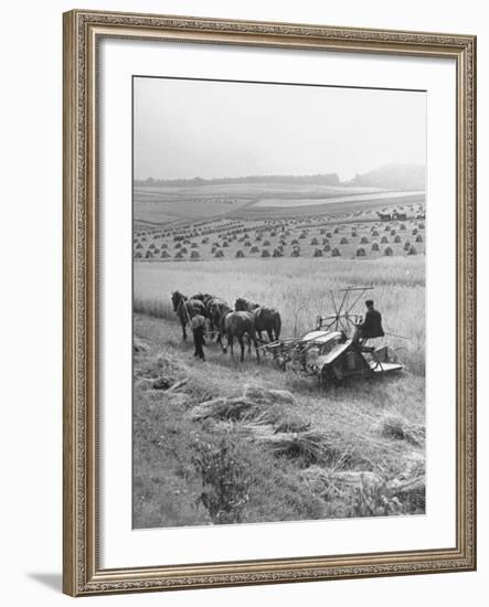 Peasant Farmers Working in Wheat Fields-null-Framed Premium Photographic Print