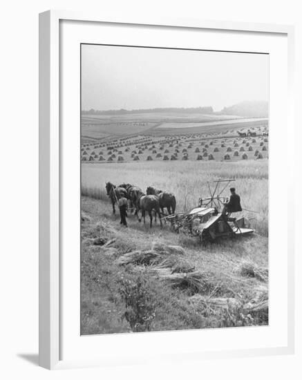 Peasant Farmers Working in Wheat Fields-null-Framed Premium Photographic Print