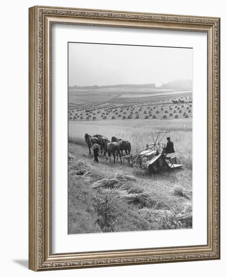 Peasant Farmers Working in Wheat Fields-null-Framed Photographic Print