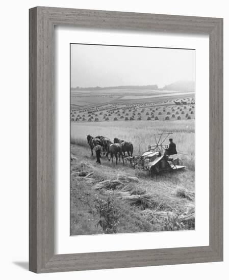 Peasant Farmers Working in Wheat Fields-null-Framed Photographic Print