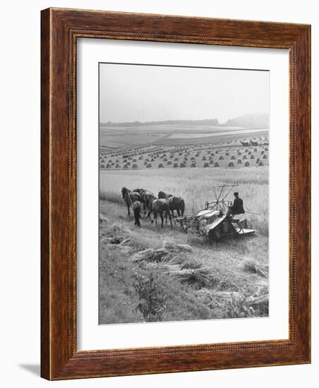 Peasant Farmers Working in Wheat Fields-null-Framed Photographic Print