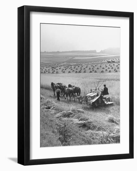 Peasant Farmers Working in Wheat Fields-null-Framed Photographic Print