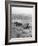 Peasant Farmers Working in Wheat Fields-null-Framed Photographic Print