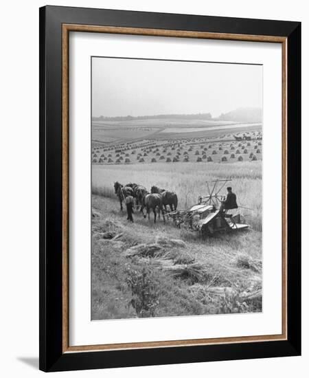 Peasant Farmers Working in Wheat Fields-null-Framed Photographic Print