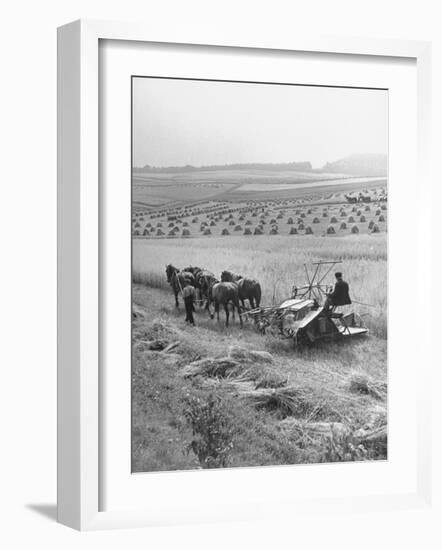 Peasant Farmers Working in Wheat Fields-null-Framed Photographic Print