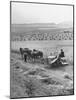 Peasant Farmers Working in Wheat Fields-null-Mounted Photographic Print