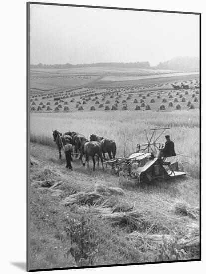 Peasant Farmers Working in Wheat Fields-null-Mounted Photographic Print