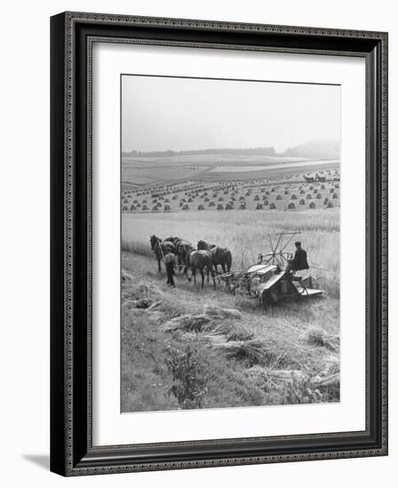 Peasant Farmers Working in Wheat Fields-null-Framed Photographic Print