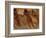 Peasant Girls Bathing at Dusk, 1875-76-Edgar Degas-Framed Giclee Print