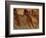 Peasant Girls Bathing at Dusk, 1875-76-Edgar Degas-Framed Giclee Print