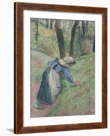 Peasant Woman Weeding the Grass (Pastel Heightened in Places with a Pink Wash)-Camille Pissarro-Framed Giclee Print