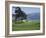 Pebble Beach, California, USA-null-Framed Photographic Print