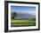 Pebble Beach Golf Club, Carmel, California, USA-Rob Tilley-Framed Photographic Print