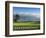 Pebble Beach Golf Club, Carmel, California, USA-Rob Tilley-Framed Photographic Print