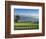 Pebble Beach Golf Club, Carmel, California, USA-Rob Tilley-Framed Photographic Print