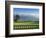 Pebble Beach Golf Club, Carmel, California, USA-Rob Tilley-Framed Photographic Print