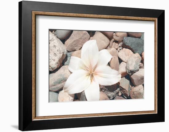 Pebble Beach I-Jason Johnson-Framed Photographic Print