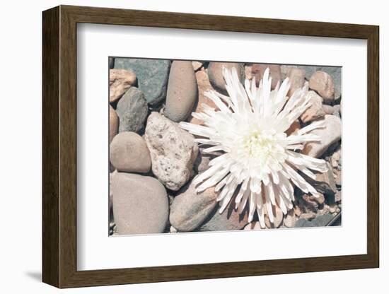 Pebble Beach II-Jason Johnson-Framed Photographic Print