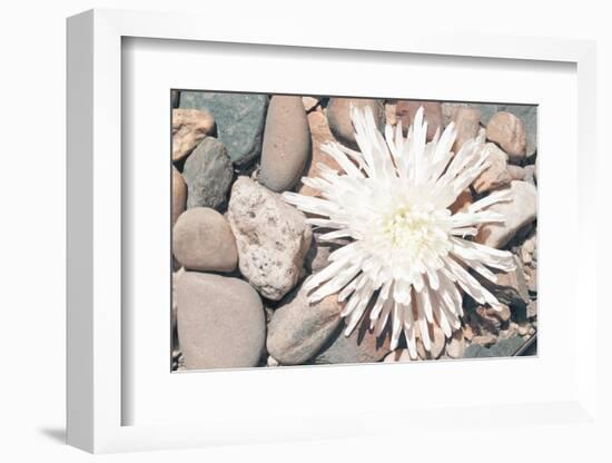 Pebble Beach II-Jason Johnson-Framed Photographic Print