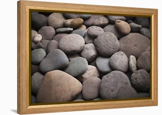 Pebble Patch I-Karyn Millet-Framed Premier Image Canvas