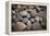 Pebble Patch I-Karyn Millet-Framed Premier Image Canvas