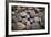 Pebble Patch I-Karyn Millet-Framed Photographic Print