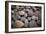 Pebble Patch I-Karyn Millet-Framed Photographic Print