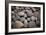 Pebble Patch I-Karyn Millet-Framed Photographic Print