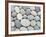 Pebble-Lebens Art-Framed Art Print