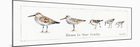 Pebbles and Sandpipers IX-Lisa Audit-Mounted Art Print